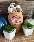 Cantarito relleno con chips de mini crujientes y cacahuates